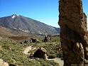 Découverte de Tenerife (17)